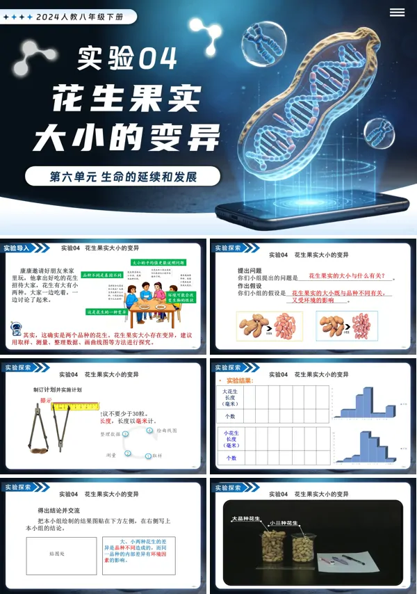 新教材人教八年级生物下册第2章实验04 花生果实大小的变异PPT课件（含讲义+实验报告单）