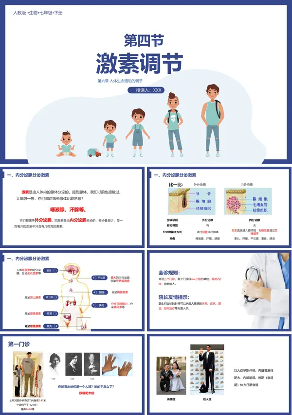 八上人体的激素调节ppt