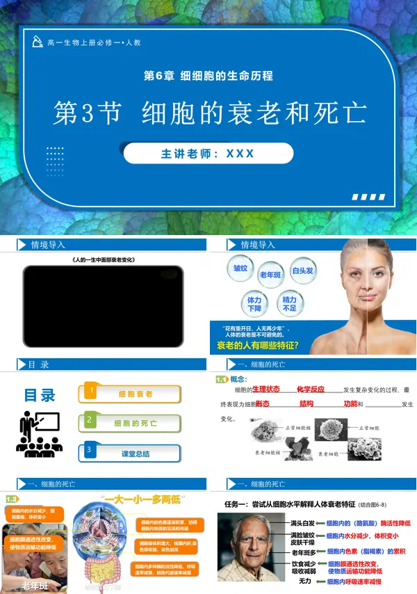 高一人教生物上册必修一6.3细胞的衰老和死亡PPT课件含教案