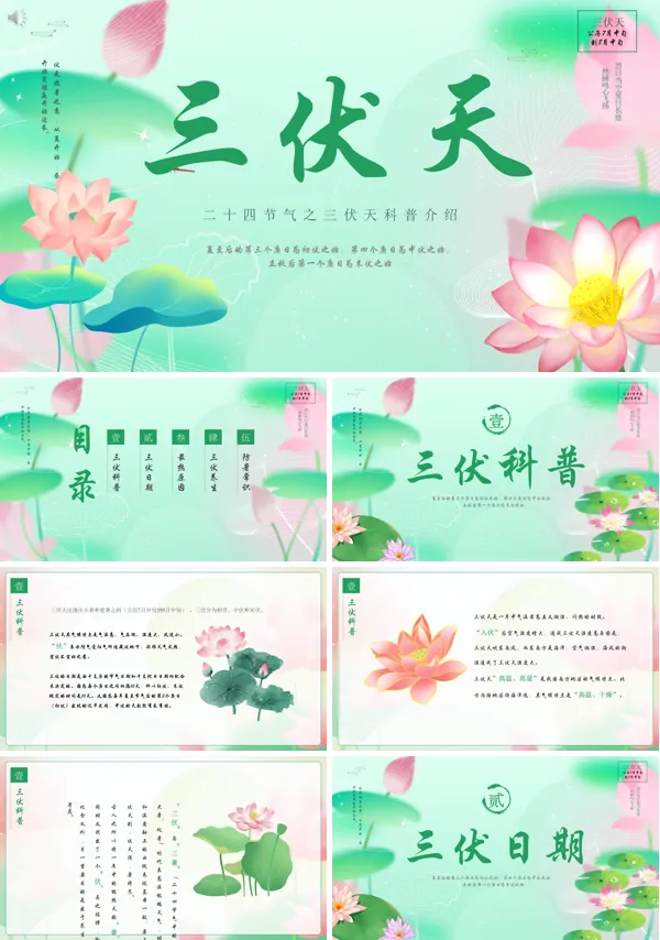 三伏天科普知识介绍PPT课件免费下载