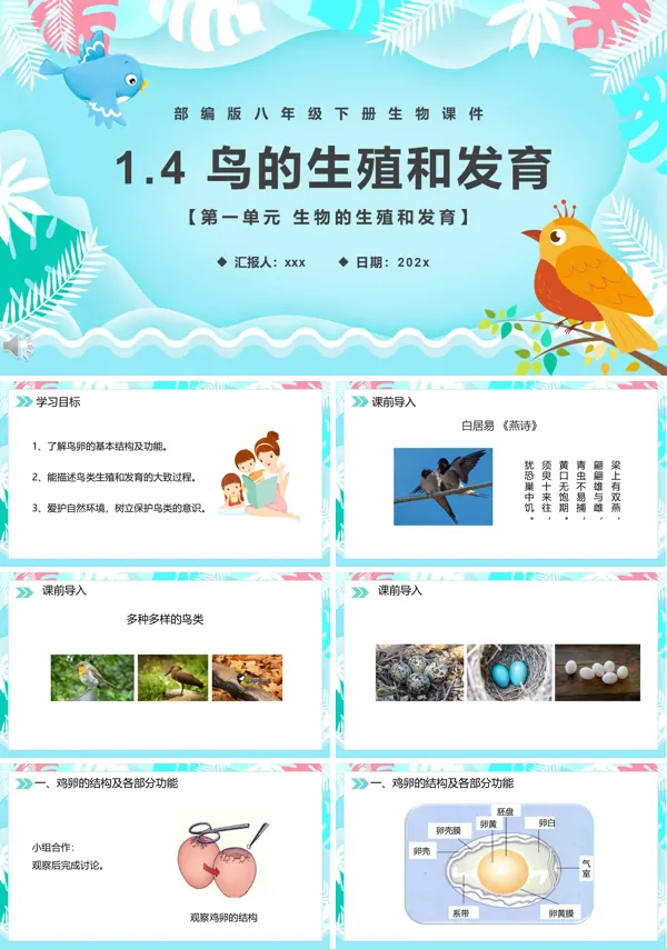 鸟的生殖和发育PPT课件