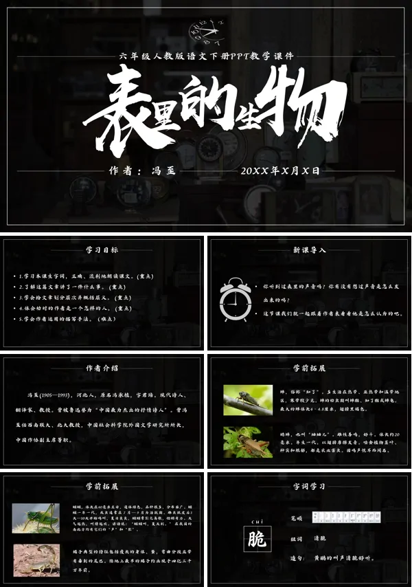 部编人教版六年级语文下册《表里的生物》PPT课件