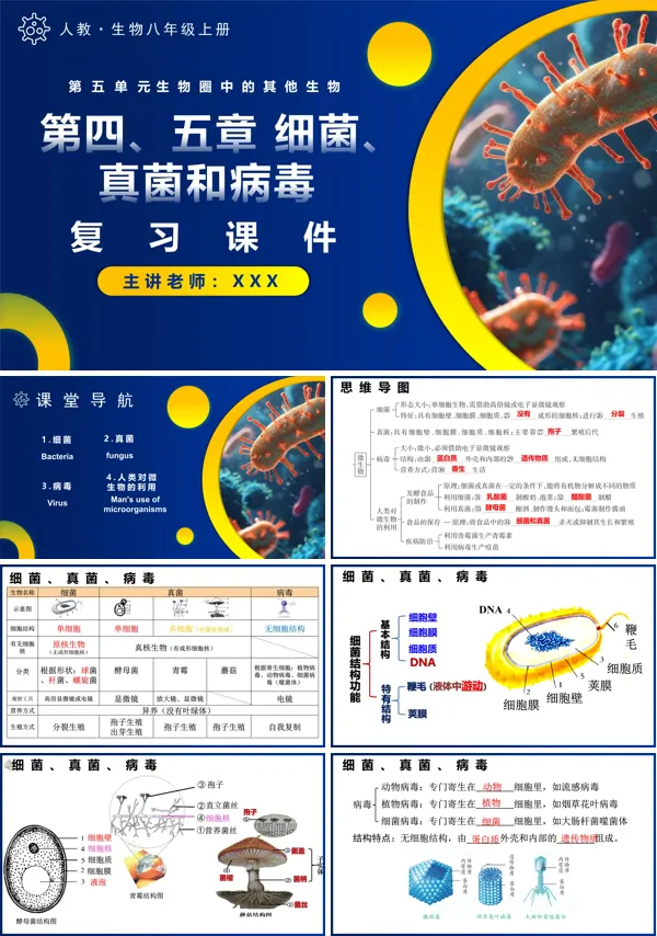 人教八年级生物上册第五单元第四、五章细菌、真菌和病毒复习课件PPT课件含教案