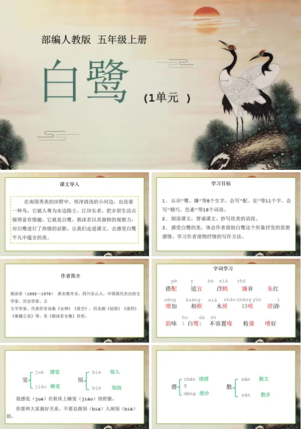 小学语文人教版五年级上册《白鹭》教育教学课件PPT