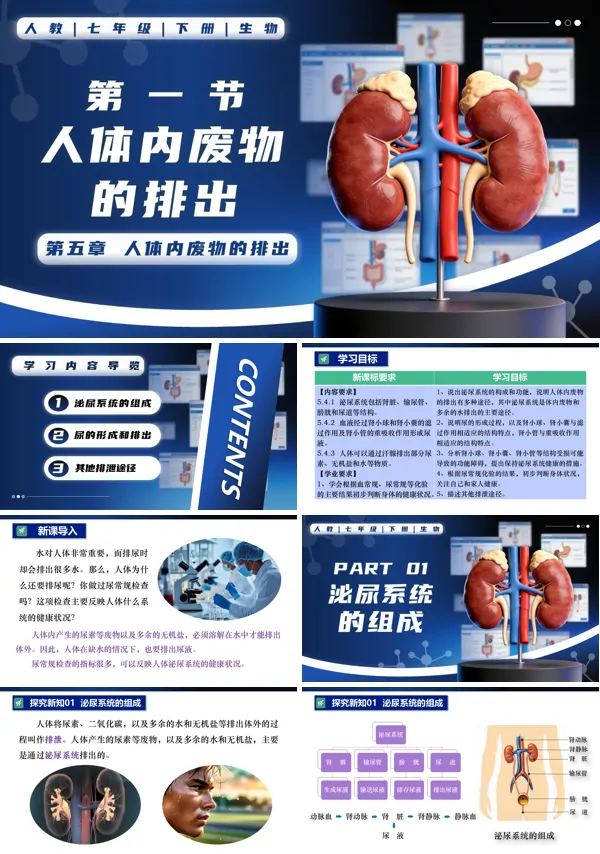 七年级生物下册第四单元4.5 人体内废物的排出PPT课件（教案+导学案+分层作业）