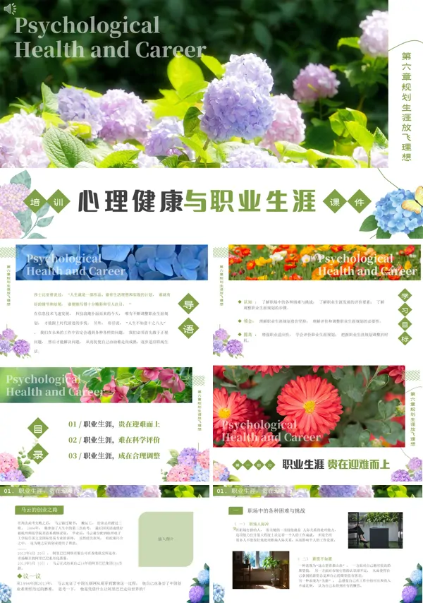 规划生涯放飞理想心理健康与职业生涯第六章培训PPT课件