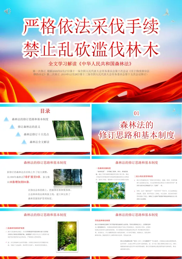 世界森林日禁止乱砍乱伐林木宣传推广PPT模板