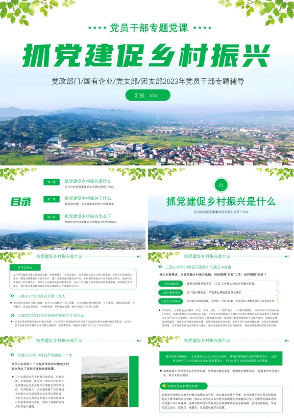 抓党建促乡村振兴三农PPT专题党课