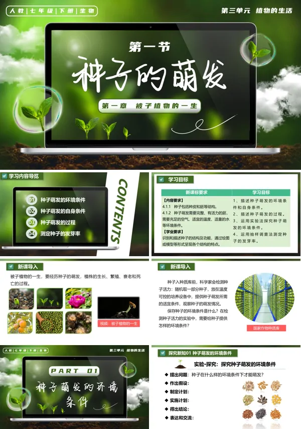 七年级生物下册第三单元3.1.1 种子的萌发PPT课件（教案+导学案+分层作业）