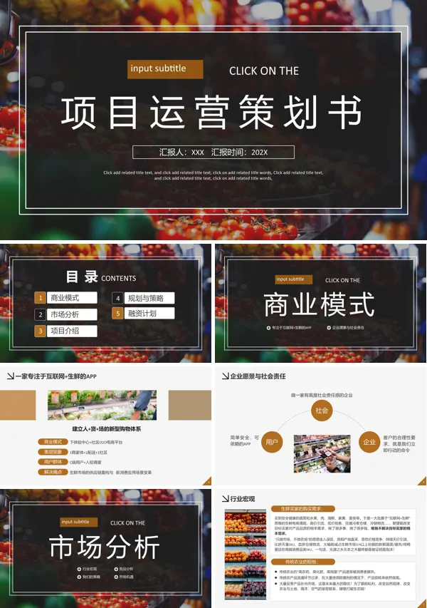 项目运营策划书PPT