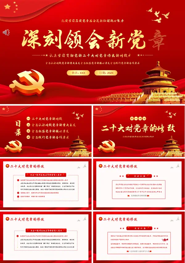 学习新党章PPT模板