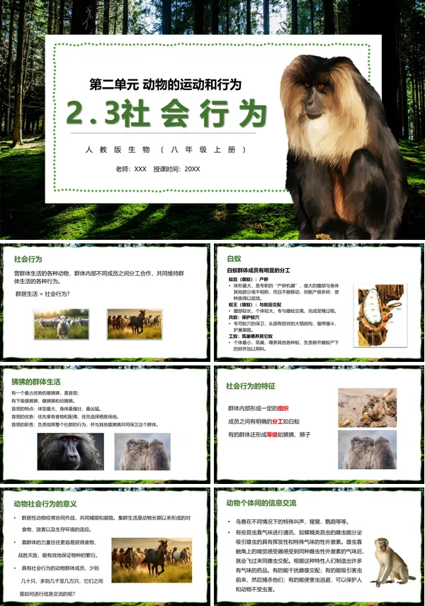 部编版八年级生物上册社会行为PPT课件