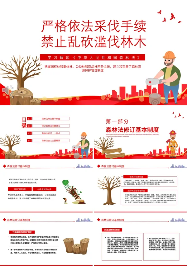 严格依法采伐手续禁止乱砍滥伐林木PPT课件