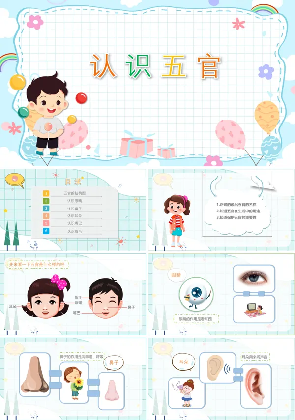 认识五官优质课PPT课件教案