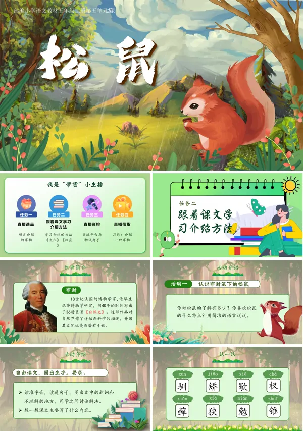 部编版小学语文教材五年级上册第五单元第17课松鼠（任务二）PPT课件含教案