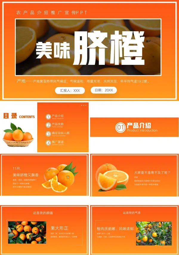 赣南脐橙宣传方案ppt模板 