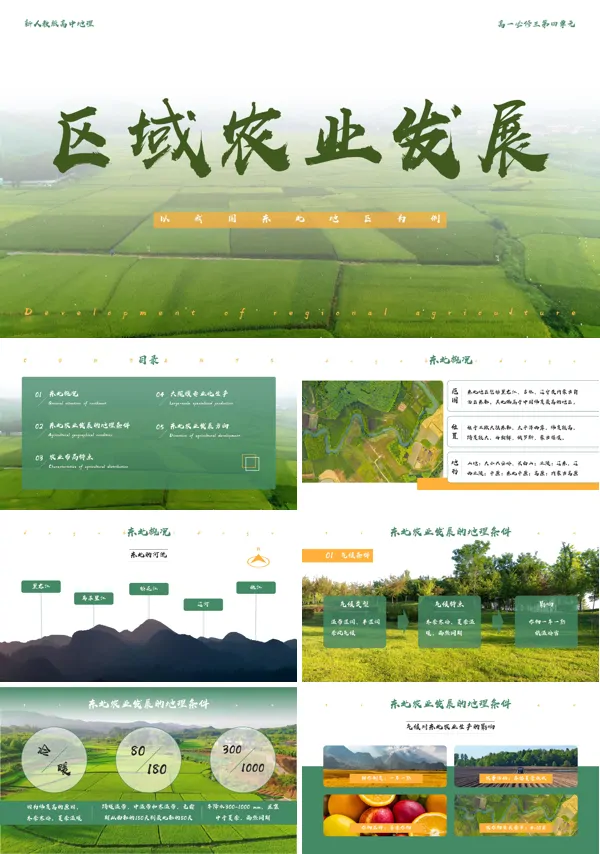 高中地理人教版必修三《41区域农业发展》PPT课件