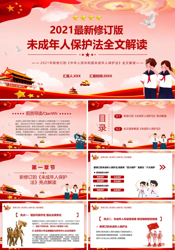 未成年保护的法律法规2021PPT