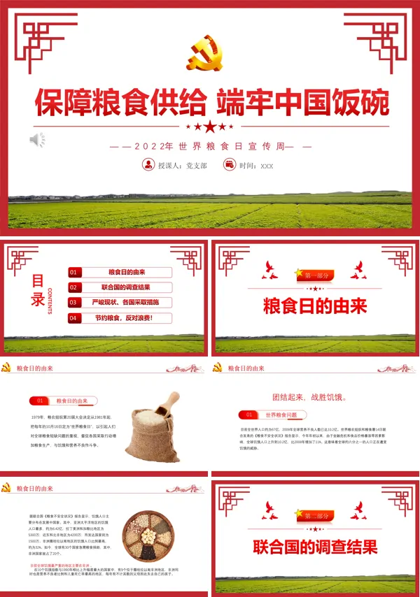 保障粮食供给端牢中国饭碗PPT专题党课