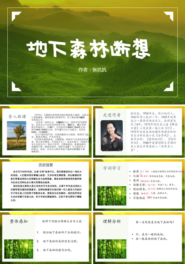 《地下森林断想》PPT课件
