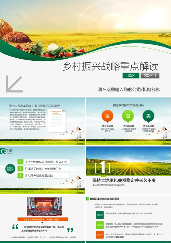 解读乡村振兴战略PPT模板