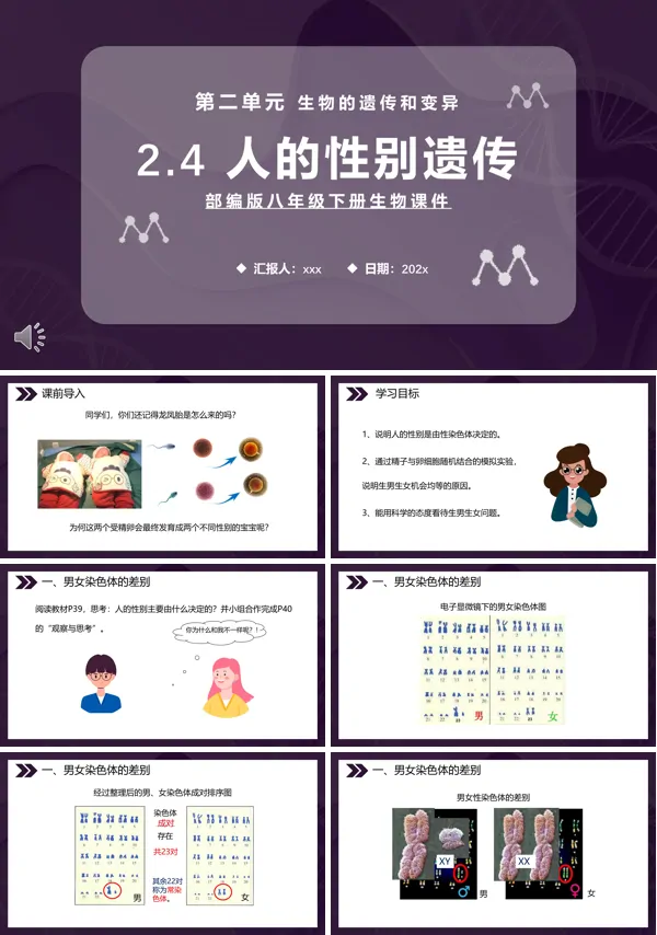人的性别遗传课件PPT模板