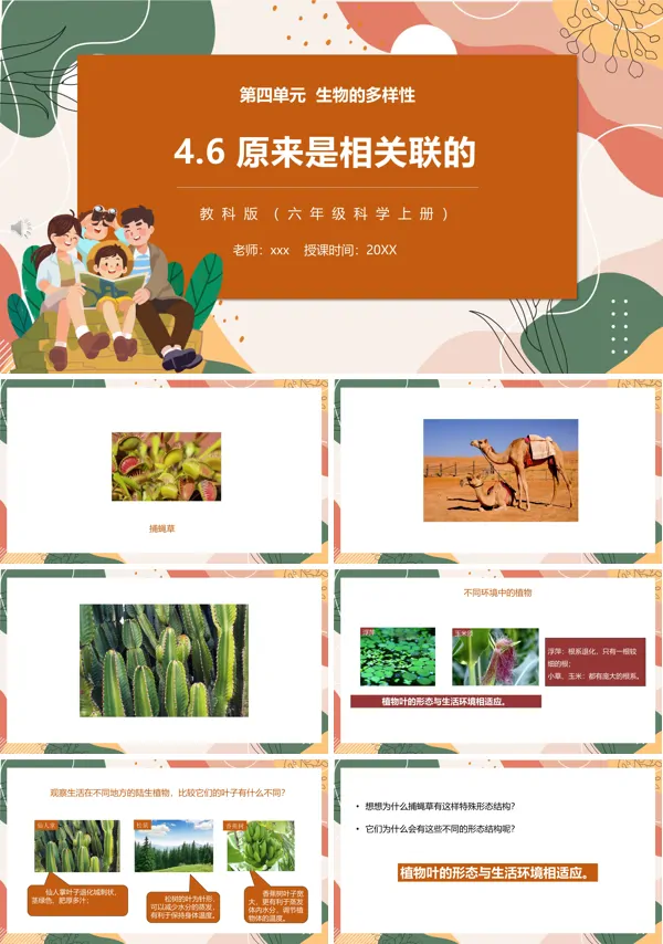 教科版六年级科学上册原来是相关联的PPT课件