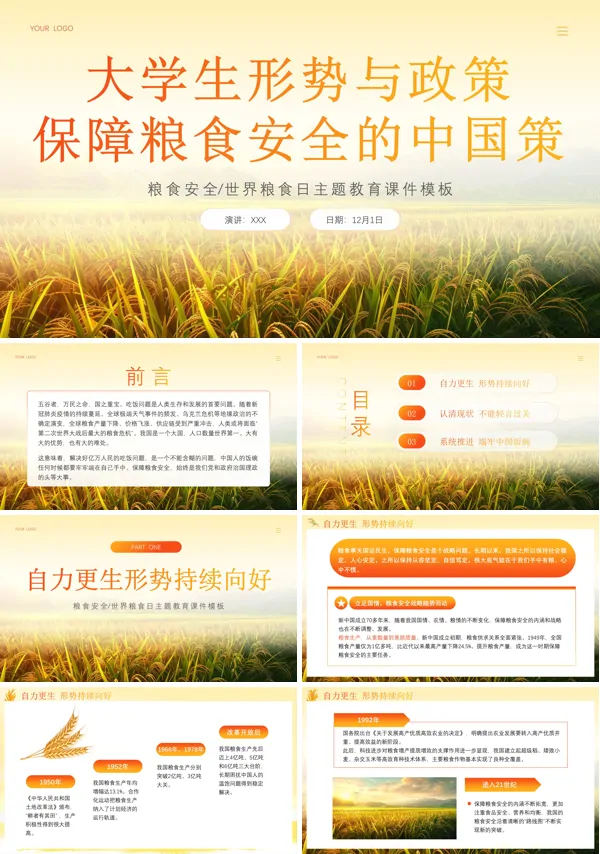 大学生形势与政策保障粮食安全的中国策PPT课件