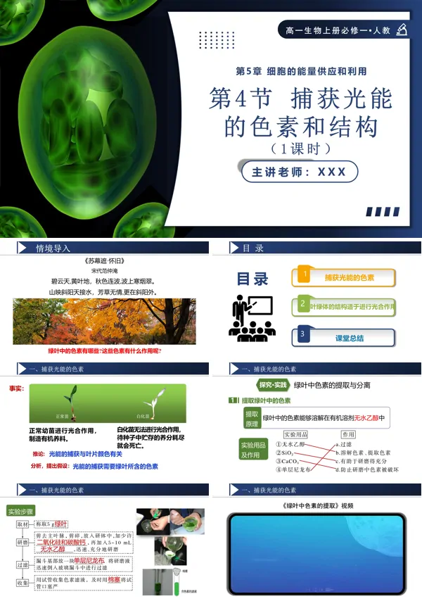 高一人教生物上册必修一5.4.1捕获光能的色素和结构PPT课件含教案