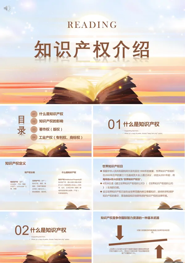 知识产权相关内容ppt课件