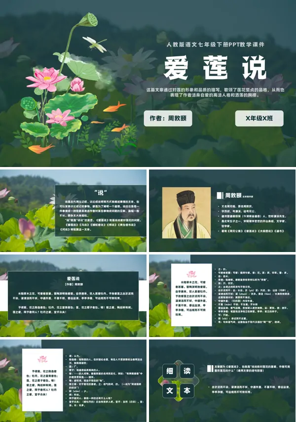 初中语文人教版《七年级下册爱莲说》PPT课件