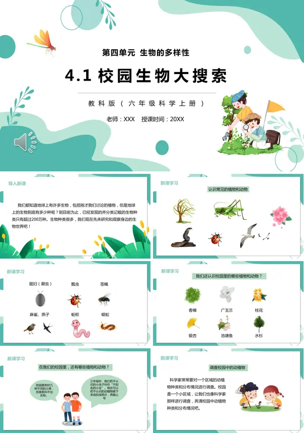 六年级科学上册校园生物大搜索PPT课件模板