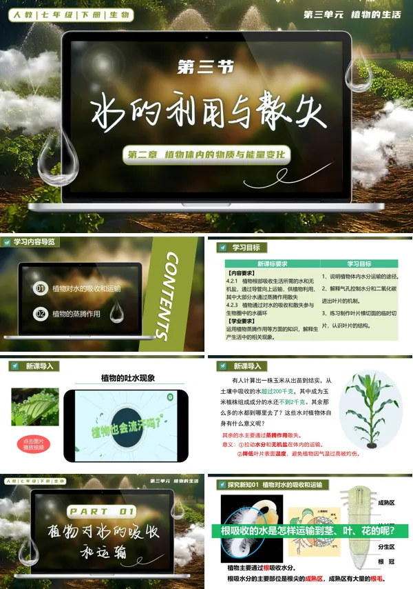 七年级生物下册第三单元3.2.1 水的利用与散失PPT课件（教案+导学案+分层作业）
