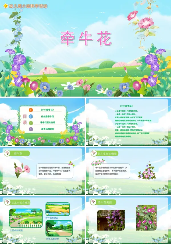 幼儿园《牵牛花》教案PPT课件