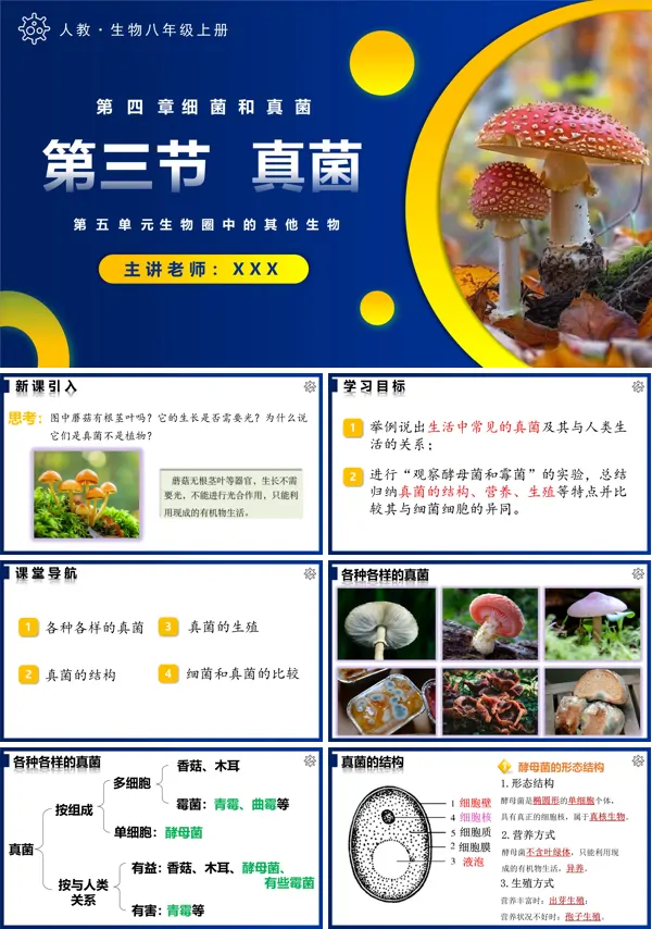 人教八年级生物上册5.4.3真菌PPT课件含教案