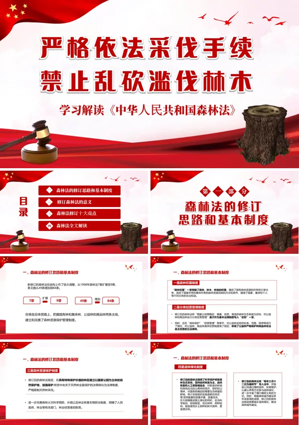 严格依法采伐手续禁止乱砍世界森林日PPT