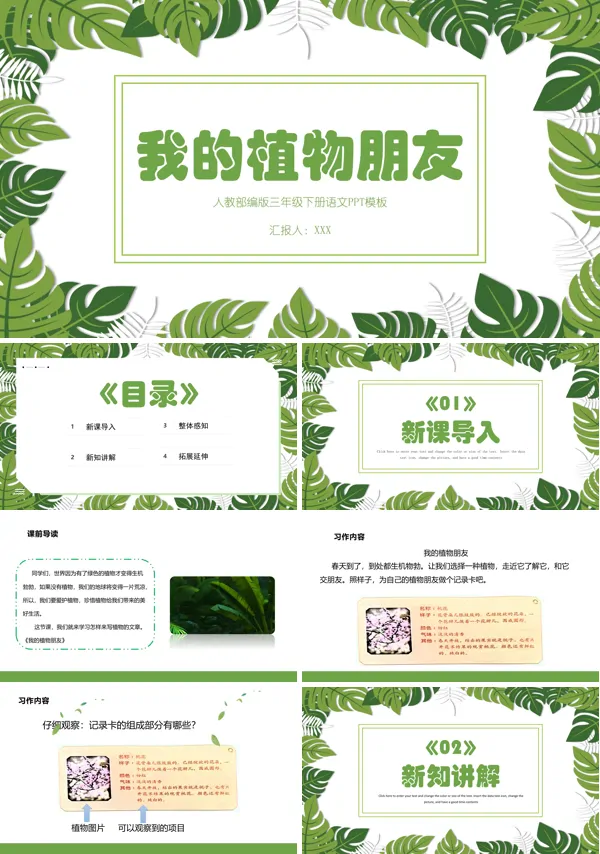 我的植物朋友PPT课件部编版