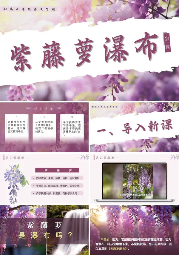 七年级语文下册紫藤萝瀑布PPT课件含教案