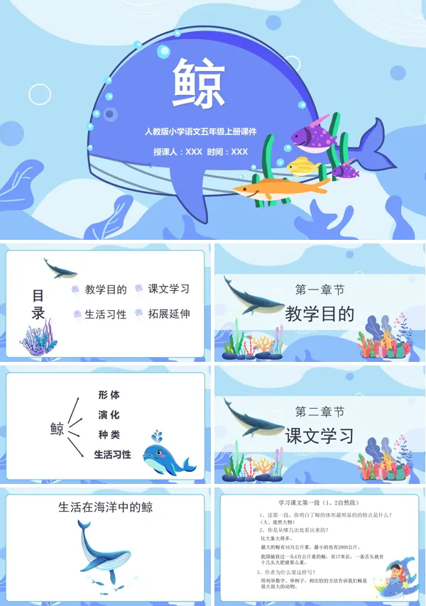 鲸课文五年级上册人教版PPT课件