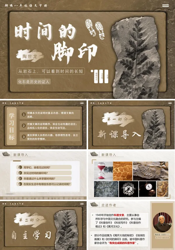 部编八年级语文下册《时间的脚印》PPT课件含教案