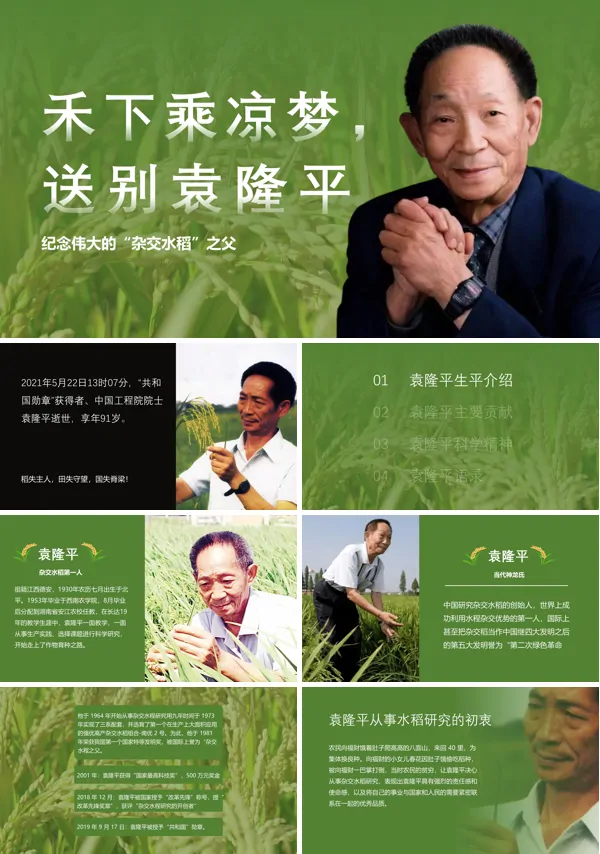 袁隆平事迹宣讲介绍课件PPT模板