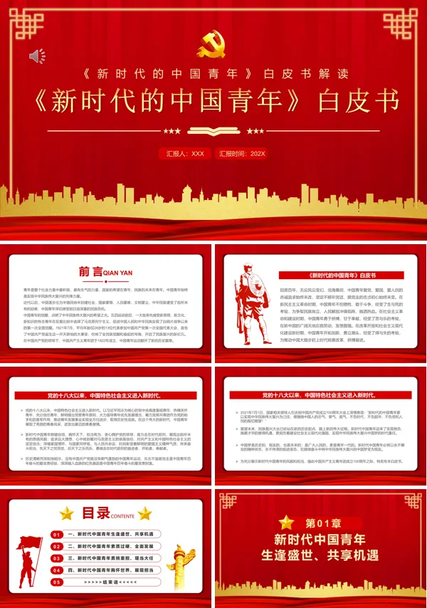 新时代的中国青年白皮书解读PPT