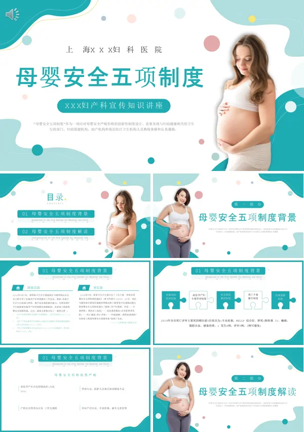 母婴安全五项制度解读宣传PPT