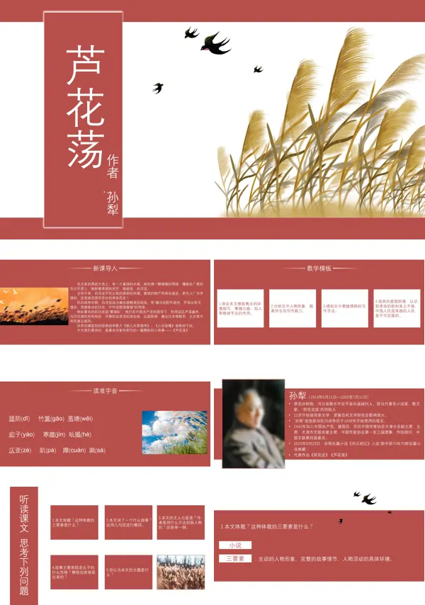 人教版八年级语文课文《芦花荡》的PPT课件