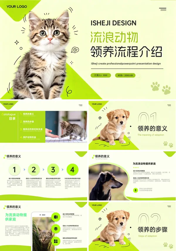流浪动物领养流程详细介绍PPT课件模板含讲稿
