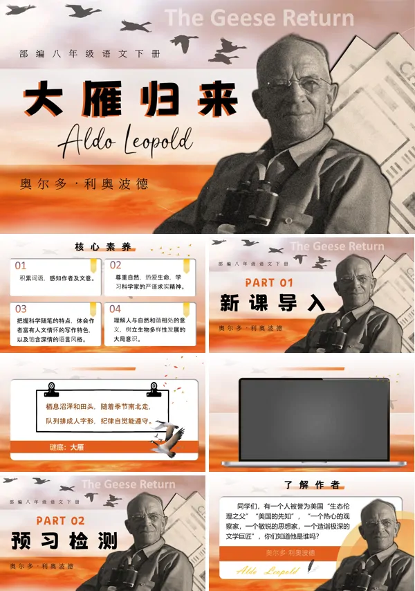 部编八年级语文下册《大雁归来》PPT课件含教案