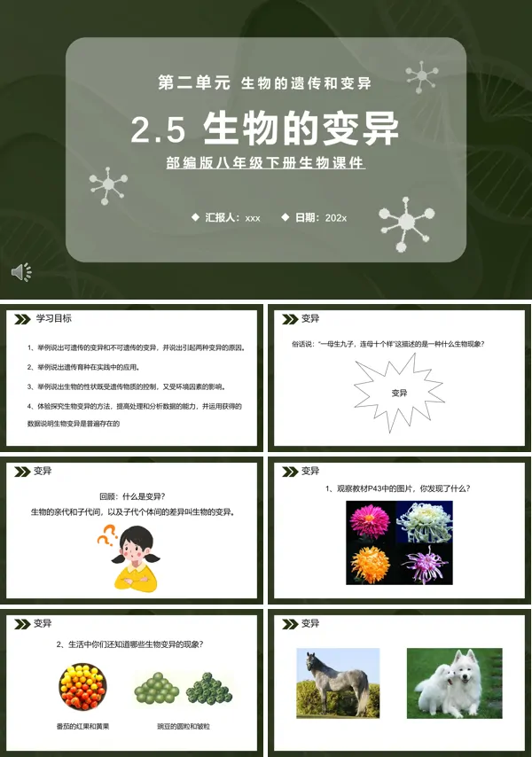 生物的变异课件PPT模板