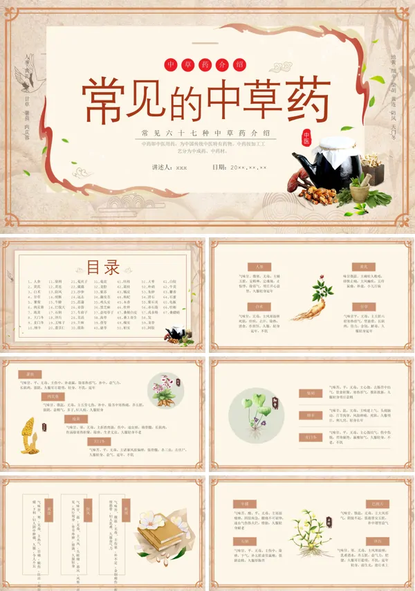 传统文化《常见中草药》培训PPT