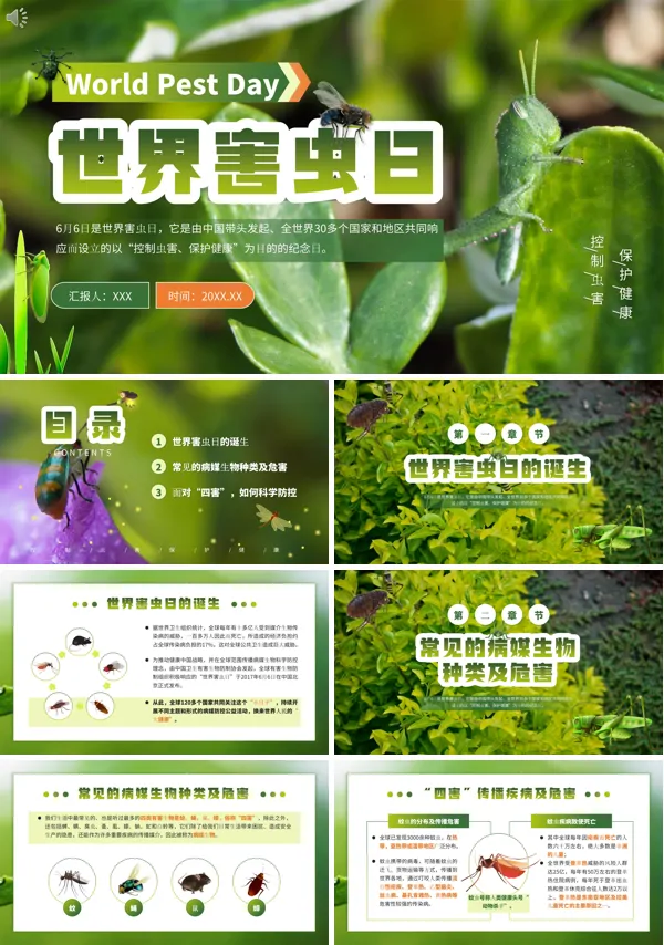世界害虫日知识PPT课件免费下载