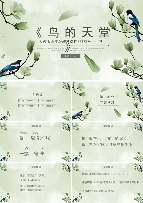 鸟的天堂PPT课件模板